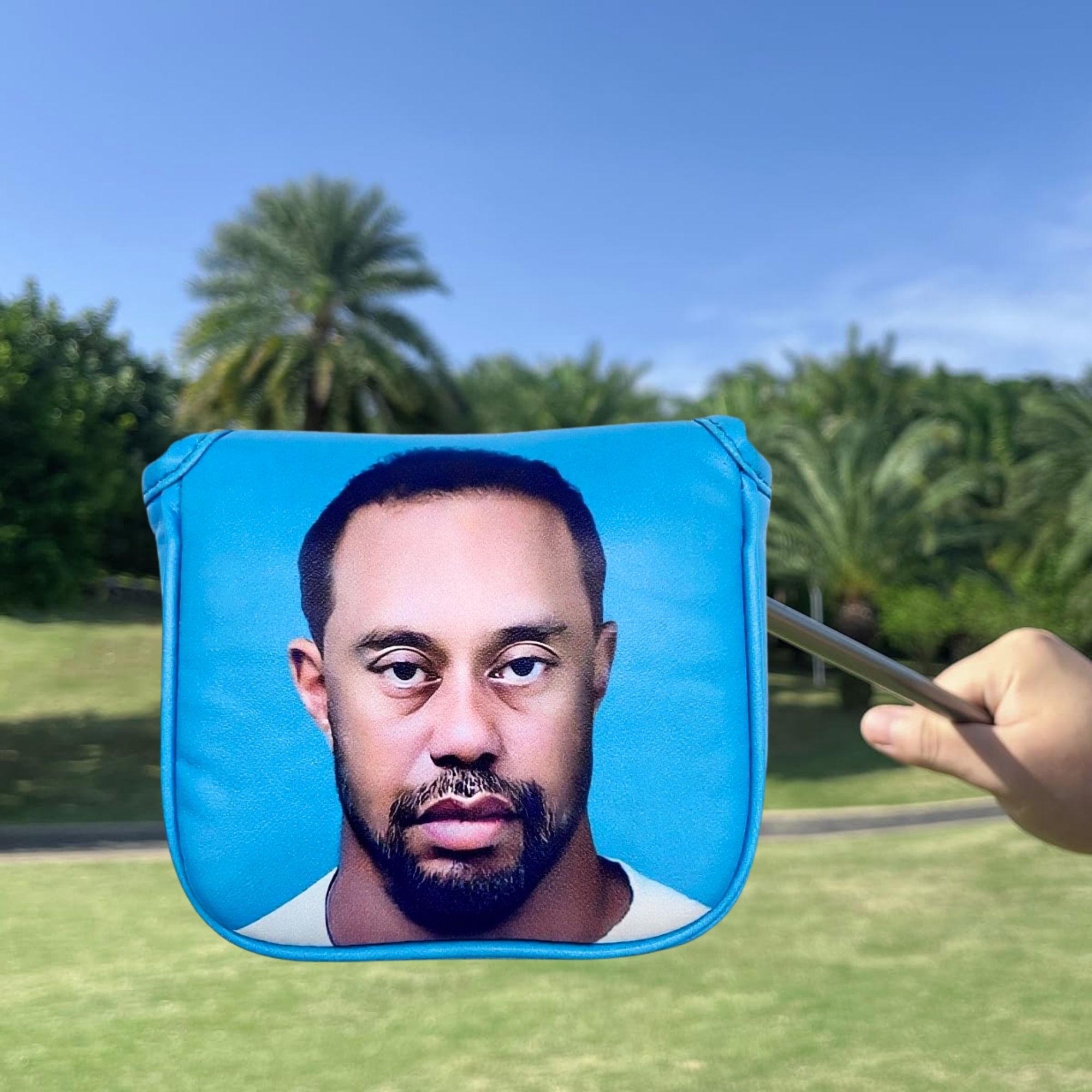 Funny Golf Mallet Putter Head  - Men'S Mens Accessories 리뷰 및 가격